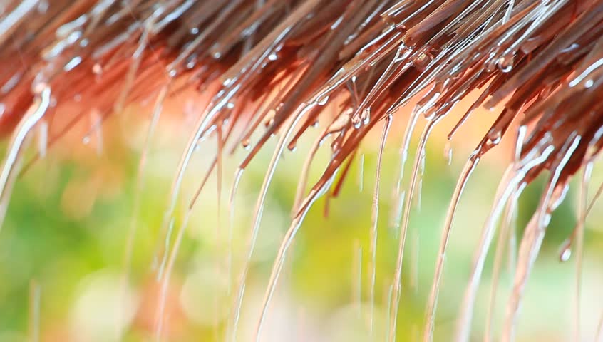 Bagaimana Warga Desa Menjaga Kesehatan di Musim Hujan