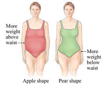 Angsamerah Articles Menopause body shape
