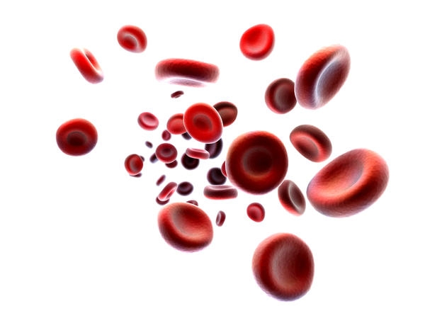 Angsamerah Articles Mengenal penyakit pengentalan darah